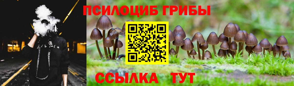 Псилоцибиновые грибы мицелий  Псилоцибиновые грибы Psilocybine cubensis  Вход с VPN  Павлово 
